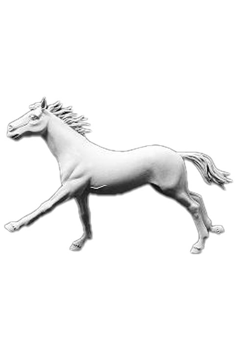 Galloping Horse 1