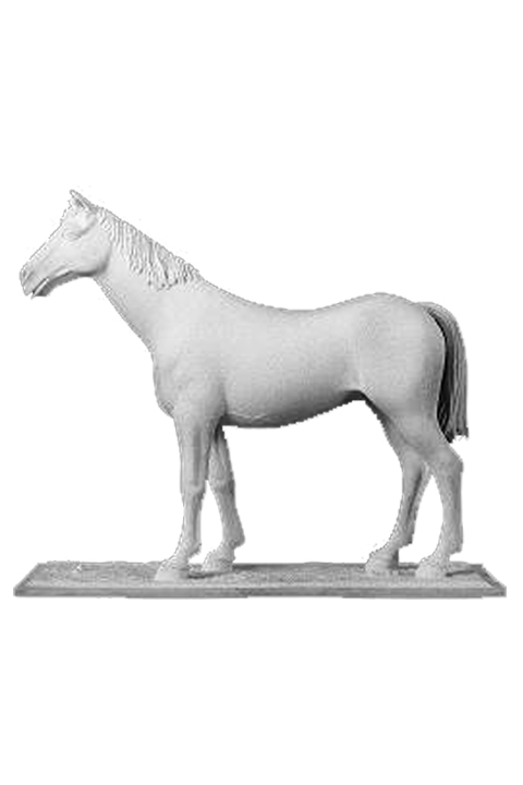 Bare Standing Horse