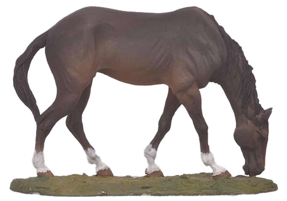 Grazing Horse FW0407 54 mm 1/32 The Cowboys Black Hawk Toy Soldier