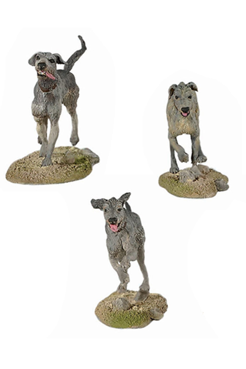 Irish Wolfhound Dogs (3)